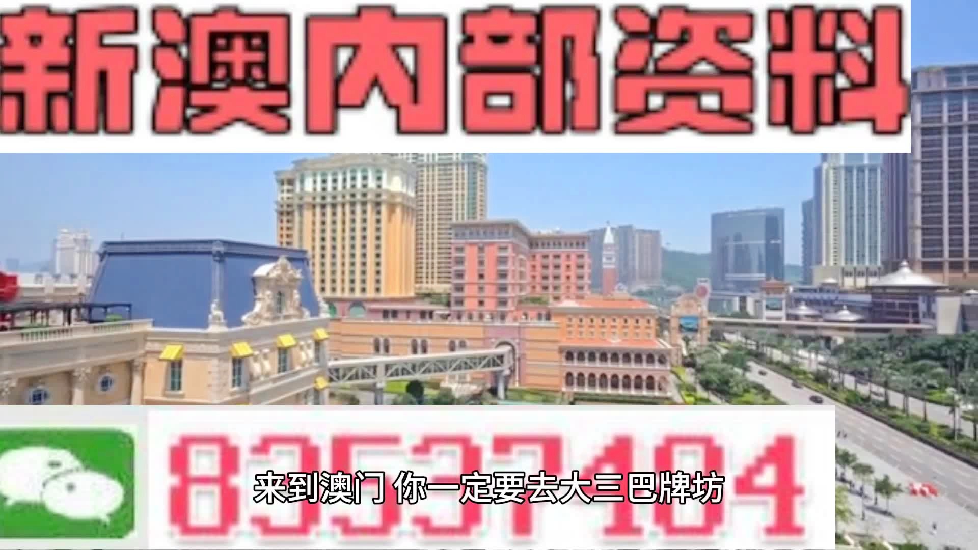 新澳门天天彩2024年全年资料｜最佳精选解释定义