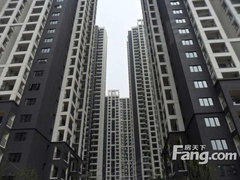 台江二手房最新信息概览，最新房源、价格及交易动态一网打尽