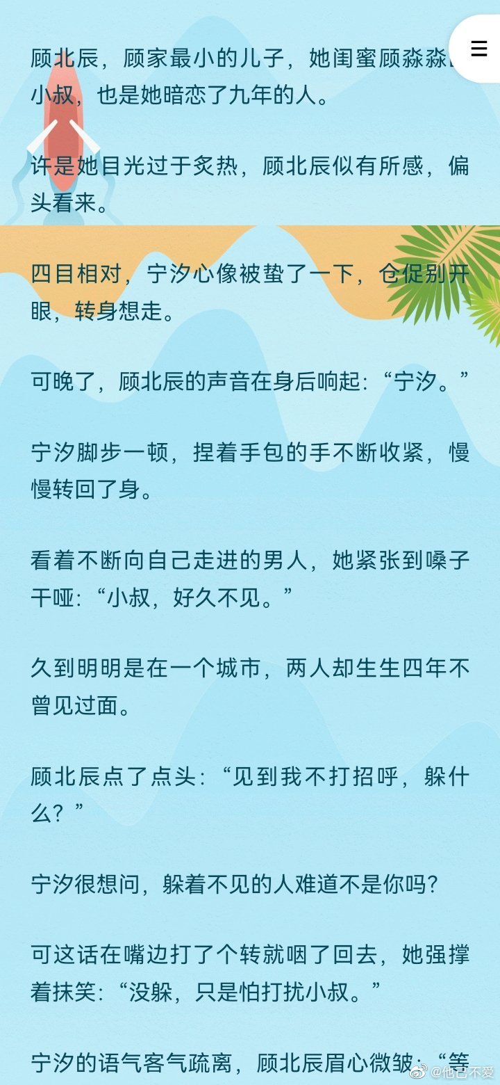 顾南城时小念，情感与命运的最新章节交织之旅